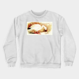 The Snow Goose Crewneck Sweatshirt